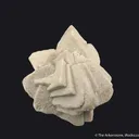Calcite included by Sand - image 1