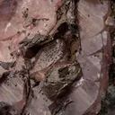 Calcite Included With Copper, With Copper & Quartz - image 3