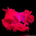 Calcite (Manganoan) - image 6