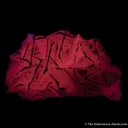 Calcite (Manganoan) with Pyrite - image 3