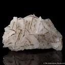 Calcite (Manganoan) with Pyrite - image 2