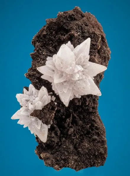 Calcite (Mn-rich) image