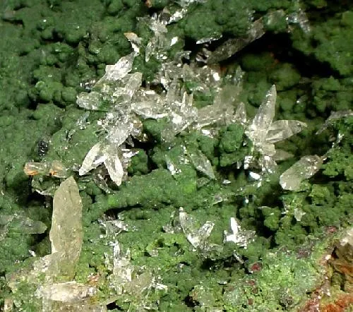 Calcite, Mottramite - image 2