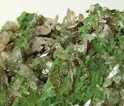 Calcite, Mottramite - image 2