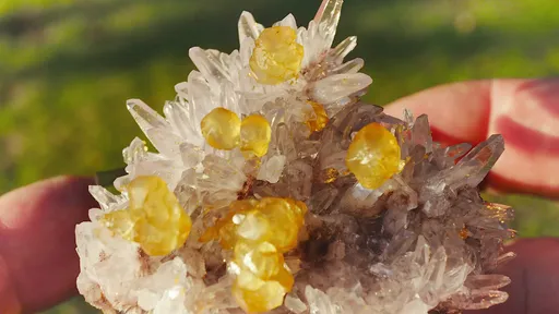 specimen video