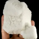 Calcite on Calcite Cast - image 7