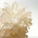 Calcite on Calcite Stalactite - image 2
