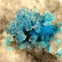 Calcite on Cavansite - image 2