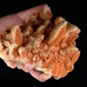 specimen video