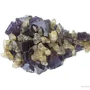 Calcite on Fluorite - image 1