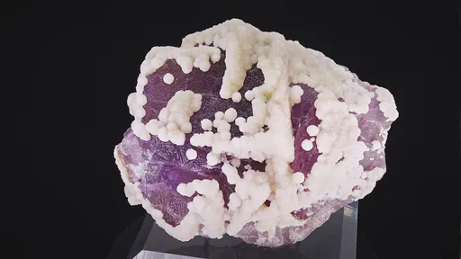 specimen video
