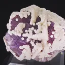 specimen video