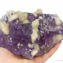 Calcite on Fluorite - image 5