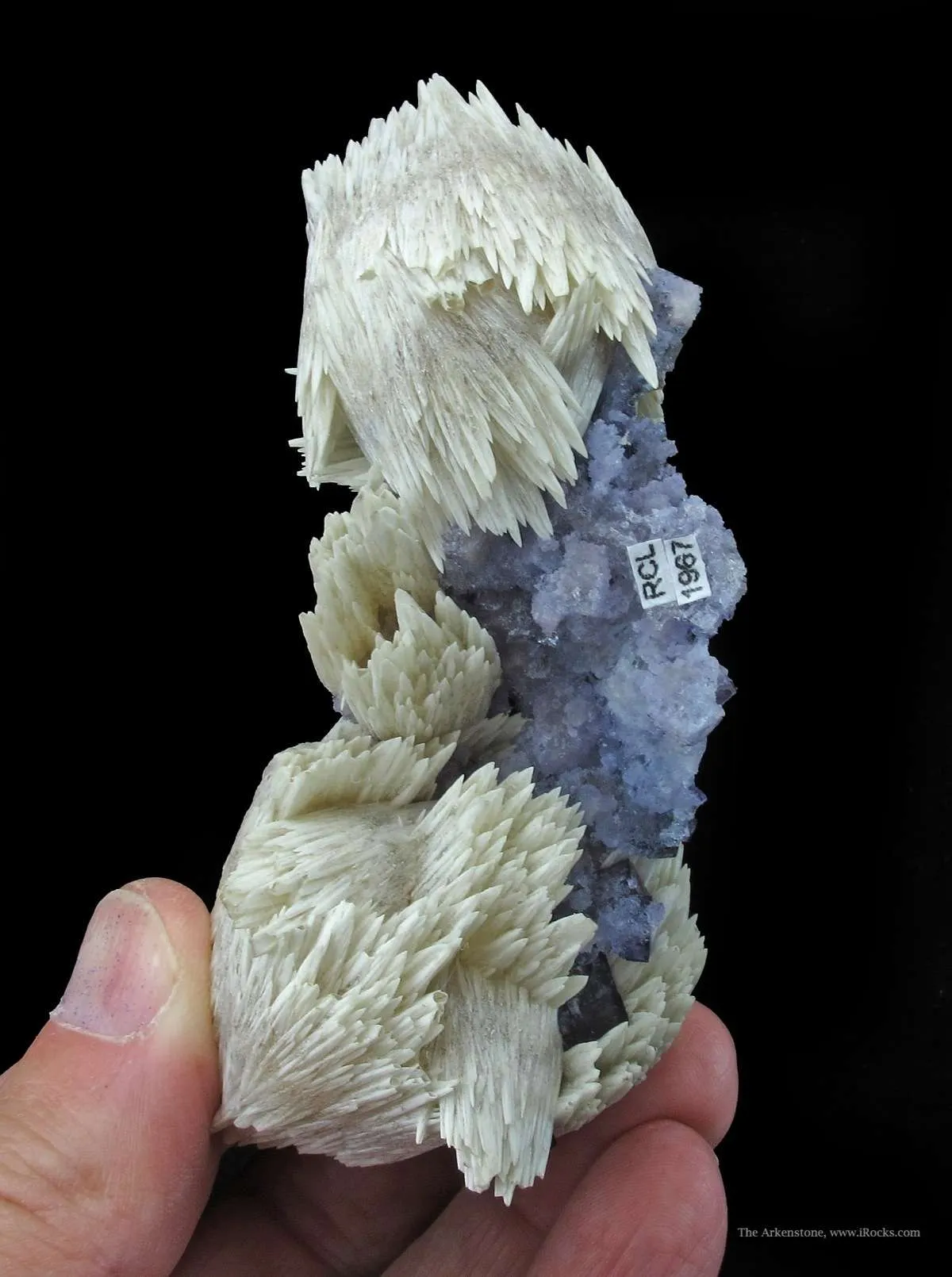 Calcite on Fluorite With Paralstonite (Type Locality) - image 5