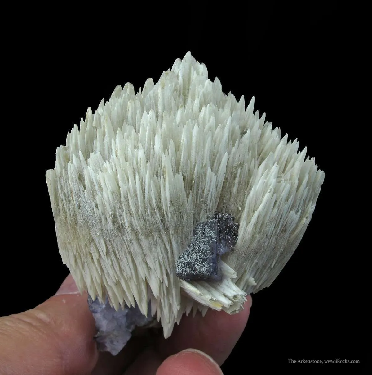 Calcite on Fluorite With Paralstonite (Type Locality) - image 2