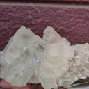 specimen video