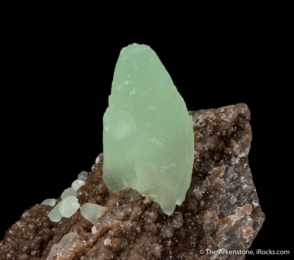 Calcite on petrified wood with Quartz image