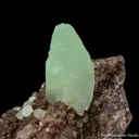 Calcite on petrified wood with Quartz - image 1