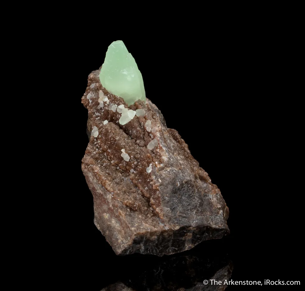 Calcite on petrified wood with Quartz - image 2