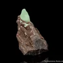 Calcite on petrified wood with Quartz - image 2