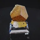 specimen video