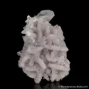 Calcite on Quartz var. Amethyst ps. Calcite - image 5