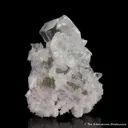 Calcite on Quartz var. Amethyst ps. Calcite - image 9