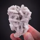 Calcite on Quartz var. Amethyst ps. Calcite - image 2