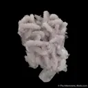 Calcite on Quartz var. Amethyst ps. Calcite - image 7