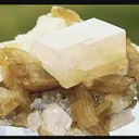 specimen video