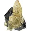 Calcite on Sphalerite (Illustrated) - image 3