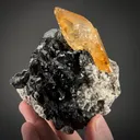 Calcite on Sphalerite, with Dolomite - image 2