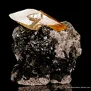 Calcite on Sphalerite, with Dolomite - image 5