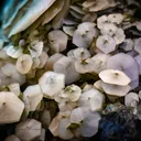 Calcite Pyrite - image 2
