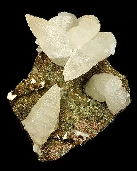 Calcite, Pyrite image