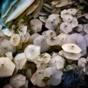 Calcite Pyrite - image 2