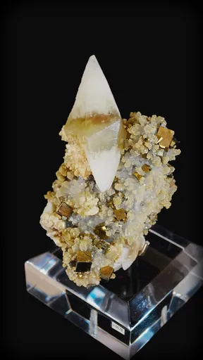 specimen video