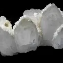 Calcite, Quartz - image 1