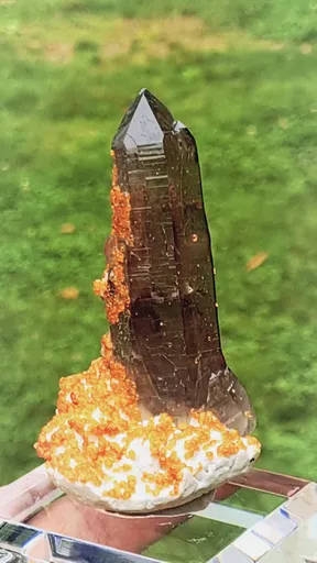 specimen video