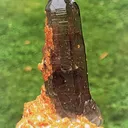 specimen video