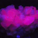 Calcite, Quartz - image 2