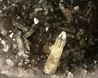 Calcite, Quartz (Var: Amethyst) - image 2