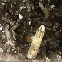 Calcite, Quartz (Var: Amethyst) - image 2