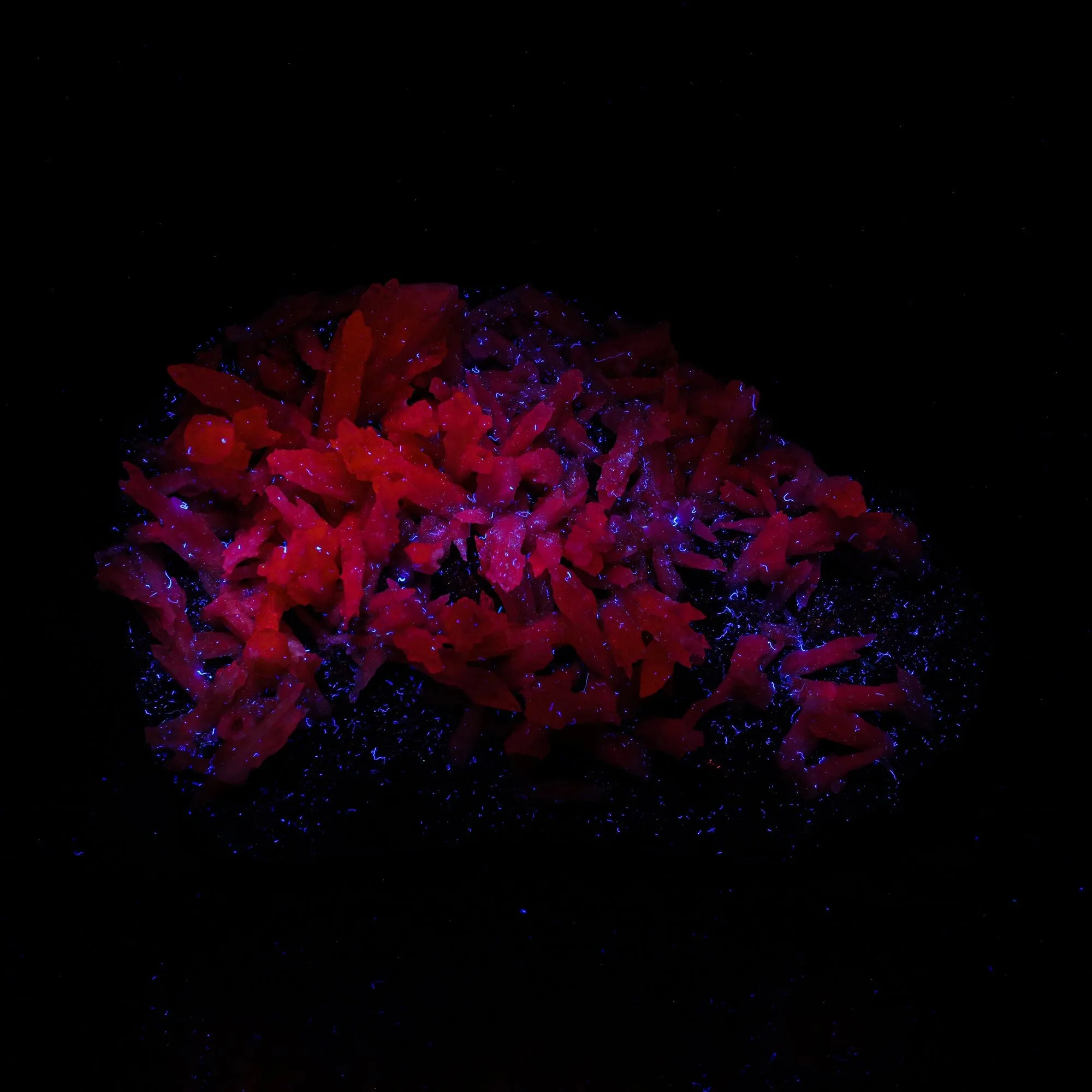 Calcite Rare New Find Natural Mineral Specimen - image 6