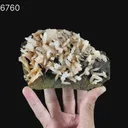 Calcite Rare New Find Natural Mineral Specimen - image 7