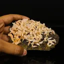 Calcite Rare New Find Natural Mineral Specimen - image 4