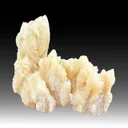 Calcite replacing Coral (502) - image 1