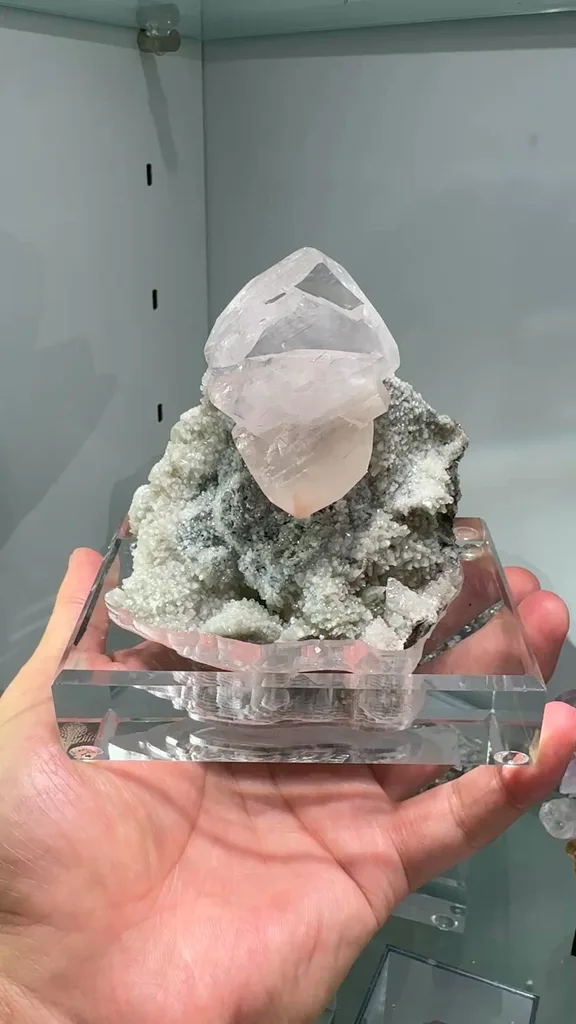 specimen video