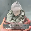 specimen video