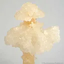 Calcite Stalactite - image 3